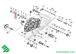 Catena pompa acqua tgb 924351 esploso ()